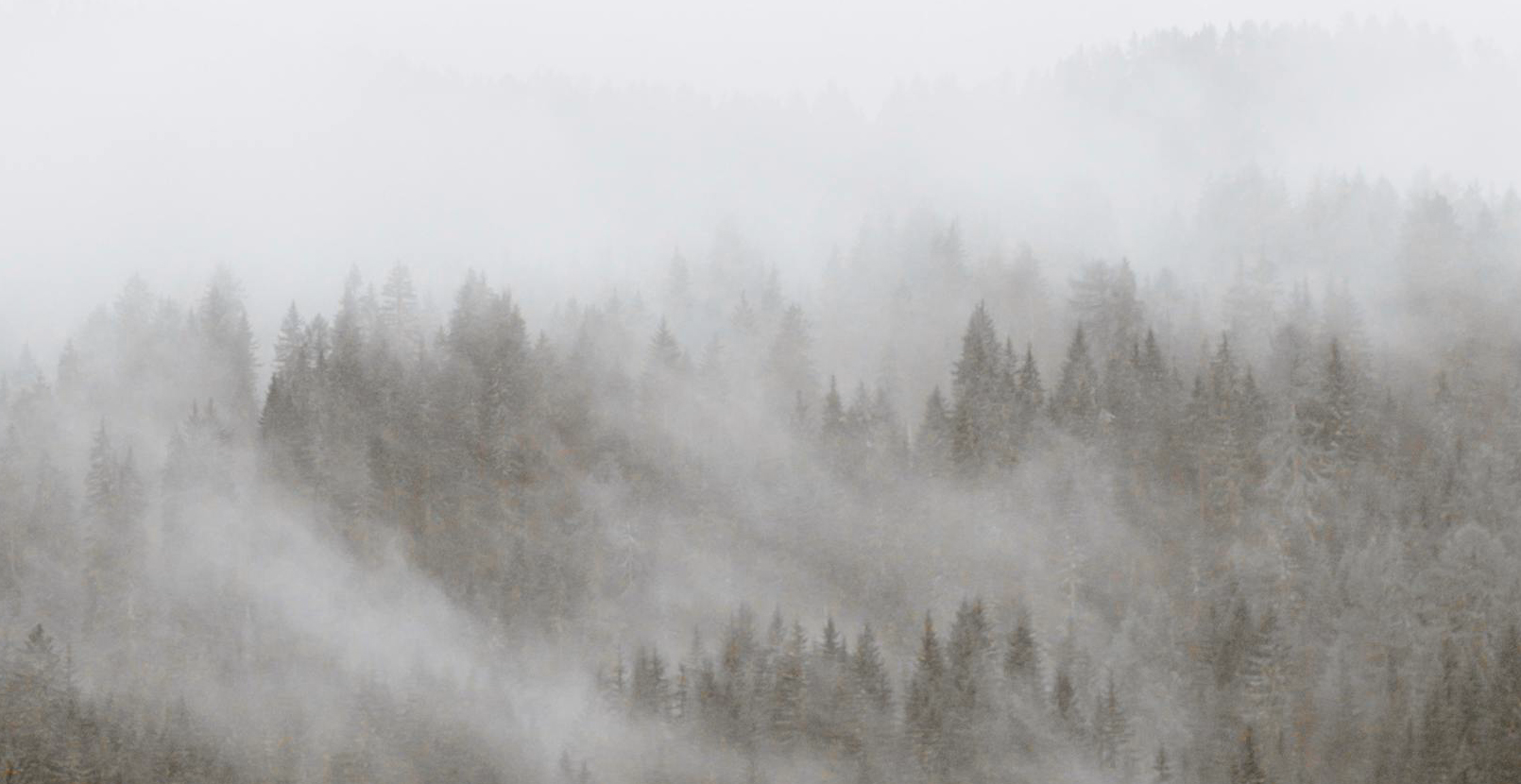 Włóczka Forest Yarn, kolor Mgła 701 Fog