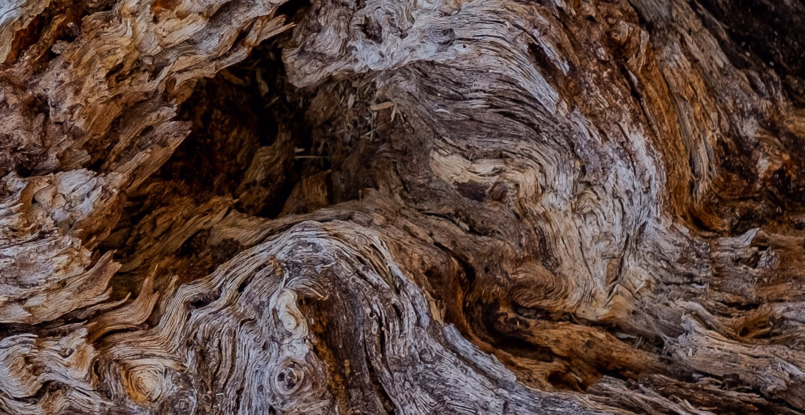 Włóczka Forest Yarn, kolor Kora 802 Bark